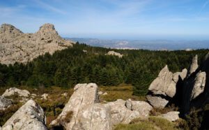 Gallura